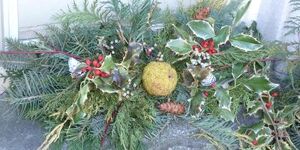 Deck the halls with boughs of .... hedge apples?