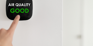 Importance of preserving air quality 